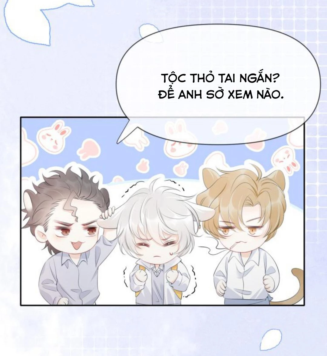 Một Ngụm Nuốt Trọn Thỏ Con Chapter 1 - 16