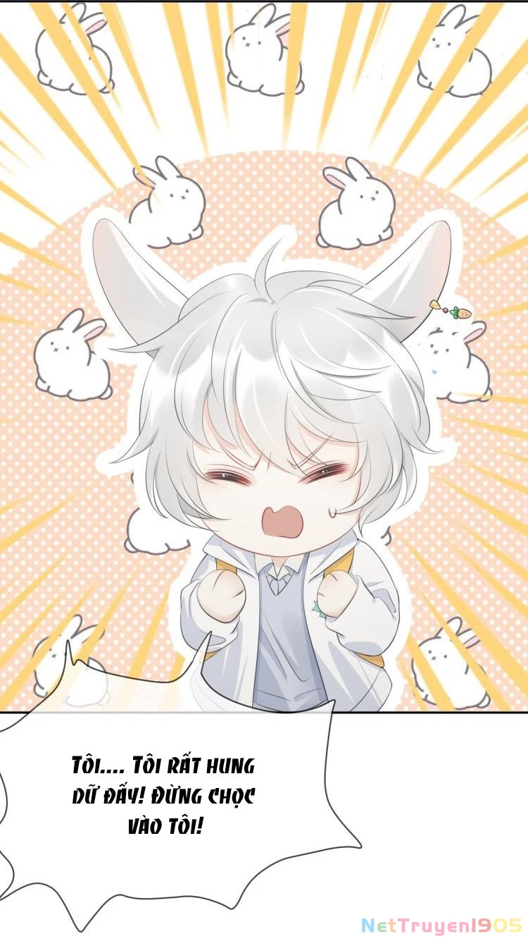 Một Ngụm Nuốt Trọn Thỏ Con Chapter 1 - 19