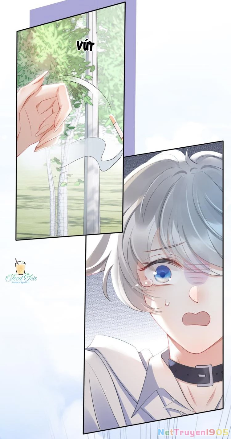 Một Ngụm Nuốt Trọn Thỏ Con Chapter 1 - 24