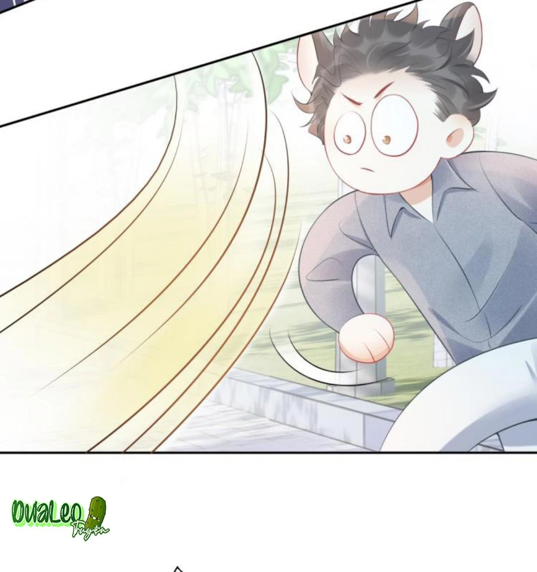 Một Ngụm Nuốt Trọn Thỏ Con Chapter 1 - 27