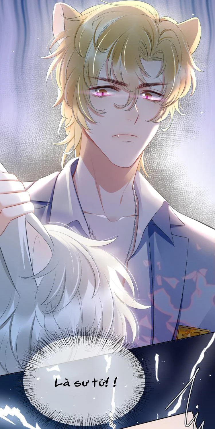 Một Ngụm Nuốt Trọn Thỏ Con Chapter 1 - 32