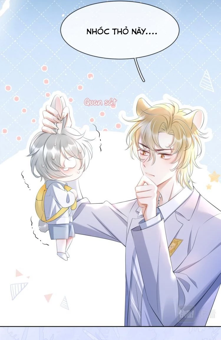 Một Ngụm Nuốt Trọn Thỏ Con Chapter 1 - 34
