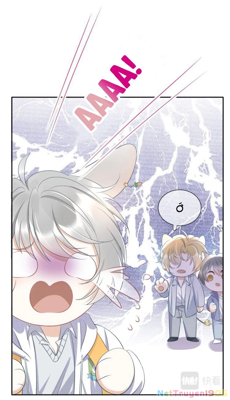 Một Ngụm Nuốt Trọn Thỏ Con Chapter 1 - 41