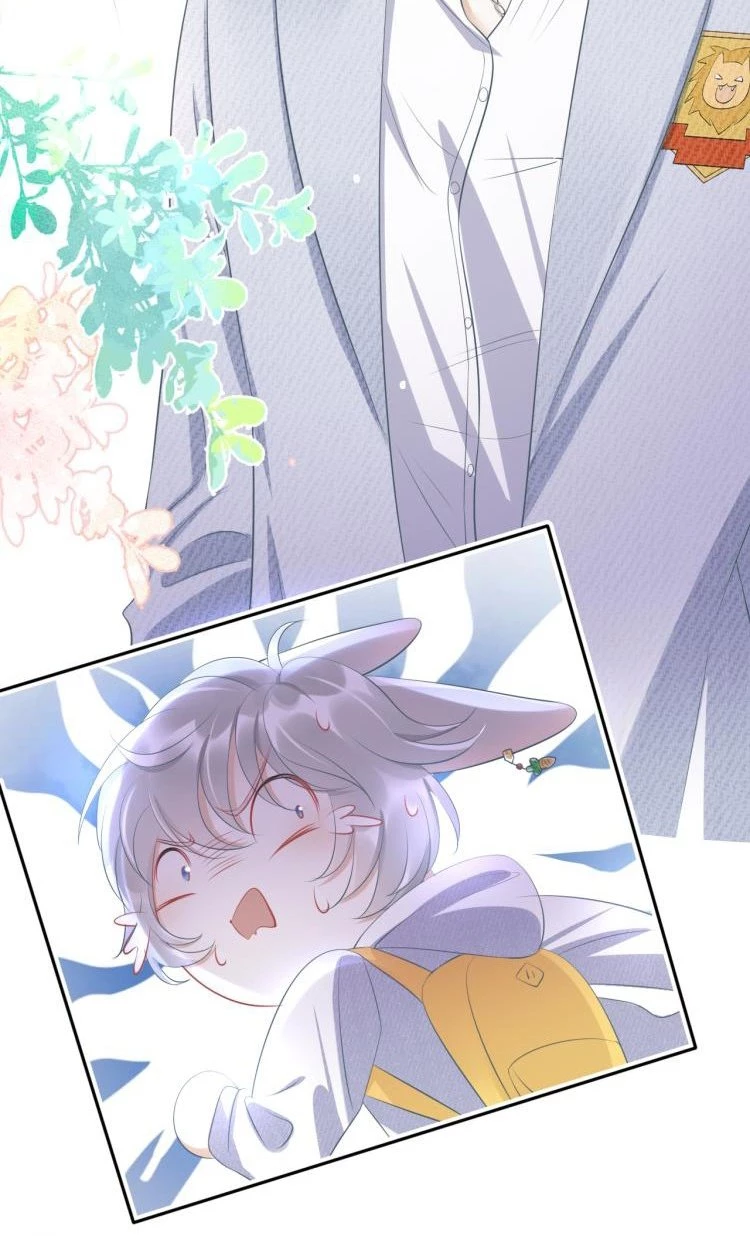 Một Ngụm Nuốt Trọn Thỏ Con Chapter 1 - 45