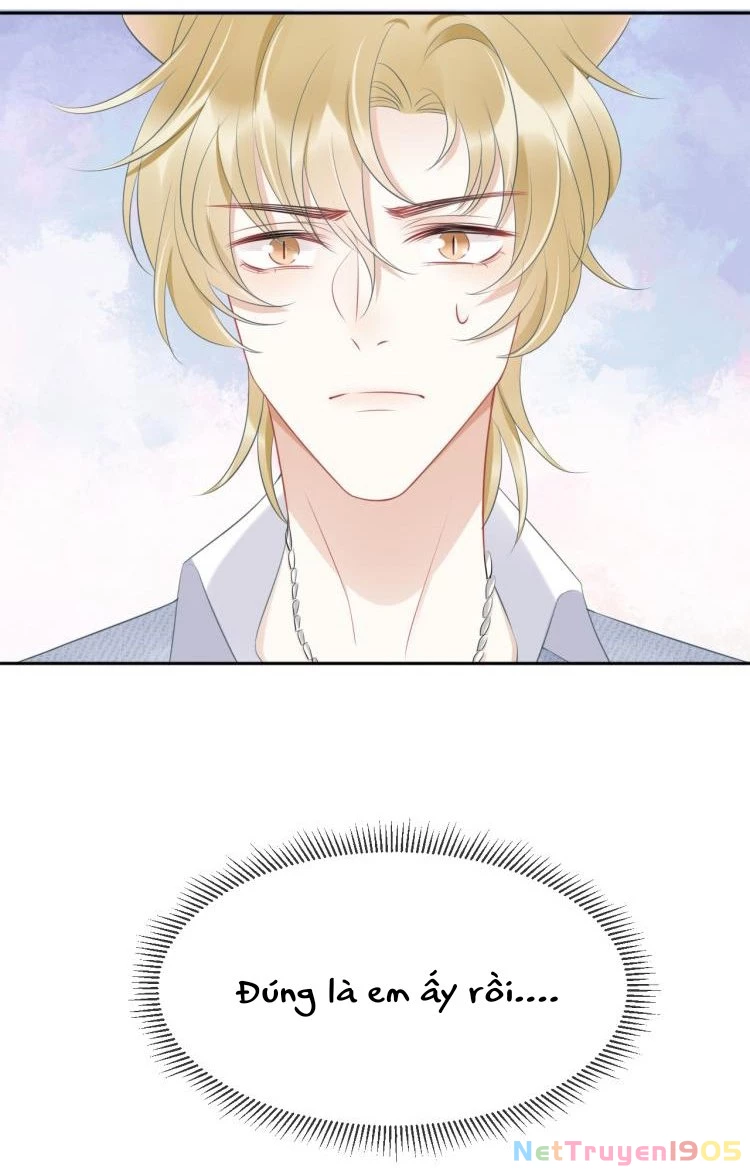 Một Ngụm Nuốt Trọn Thỏ Con Chapter 1 - 48