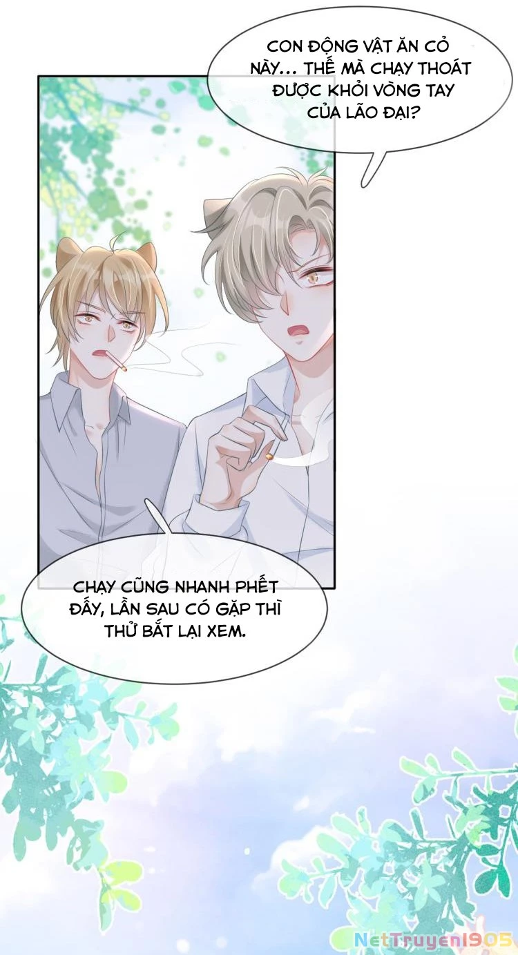 Một Ngụm Nuốt Trọn Thỏ Con Chapter 1 - 49