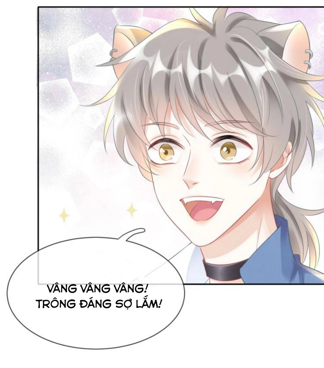 Một Ngụm Nuốt Trọn Thỏ Con Chapter 1 - 52