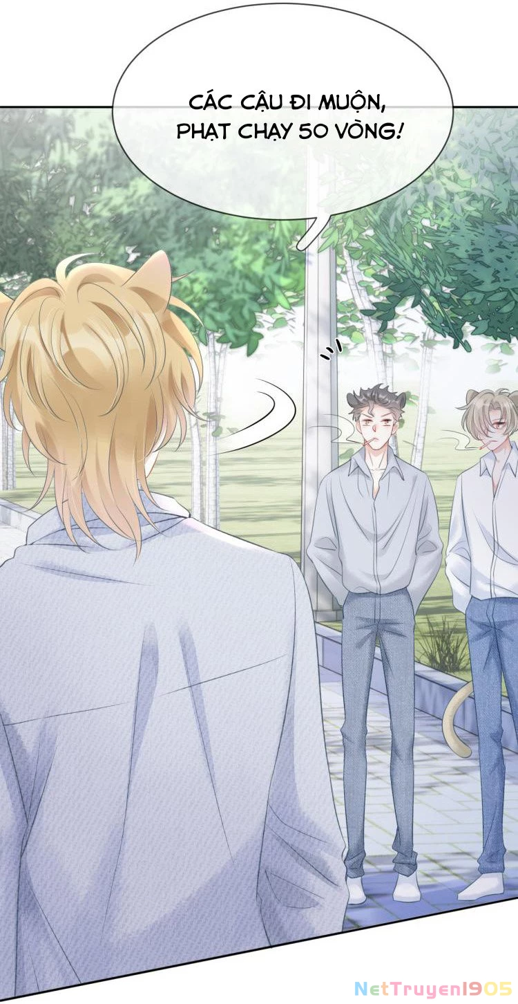 Một Ngụm Nuốt Trọn Thỏ Con Chapter 1 - 54