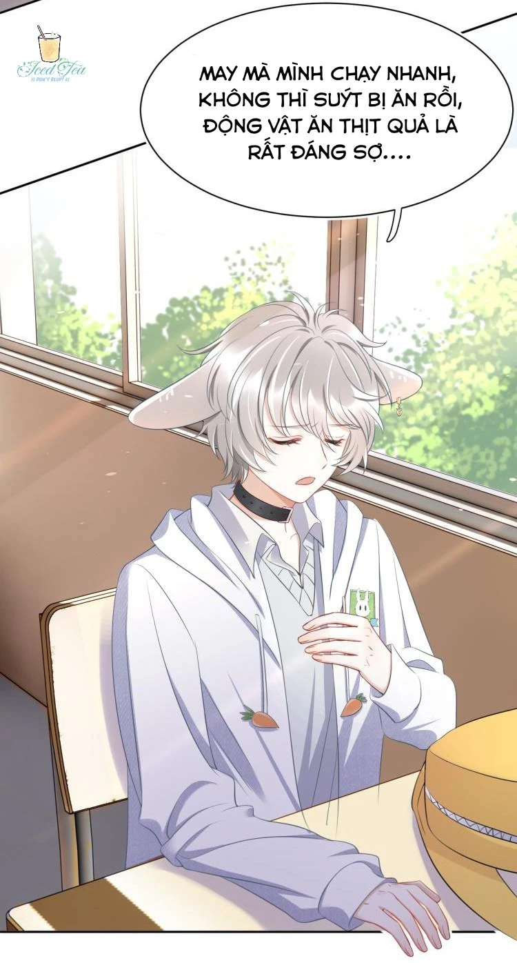 Một Ngụm Nuốt Trọn Thỏ Con Chapter 1 - 58