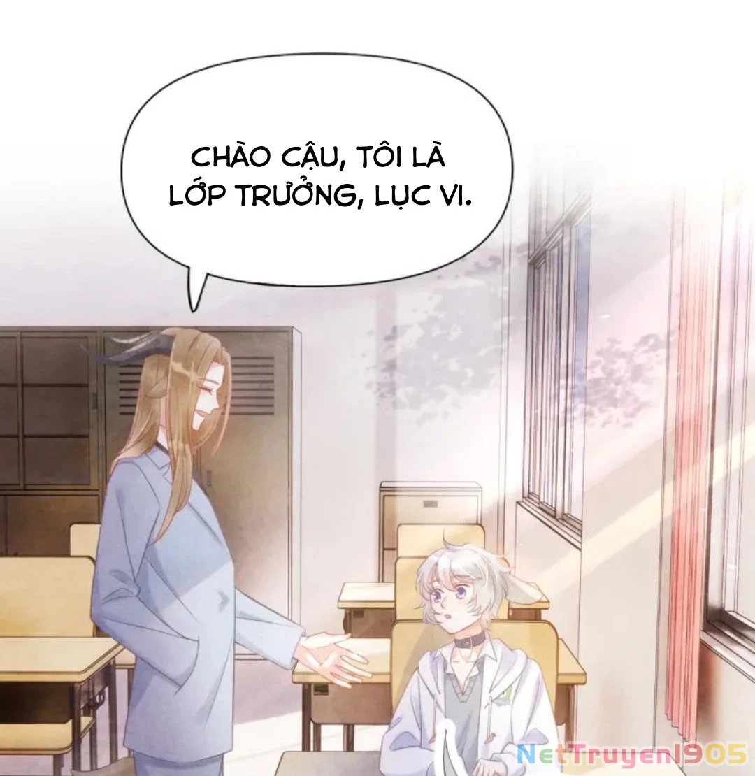 Một Ngụm Nuốt Trọn Thỏ Con Chapter 2 - 8