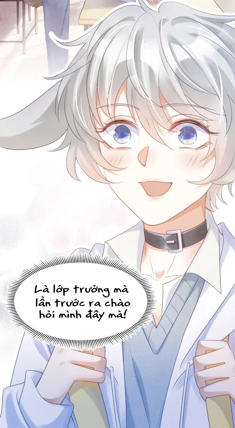 Một Ngụm Nuốt Trọn Thỏ Con Chapter 2 - 9