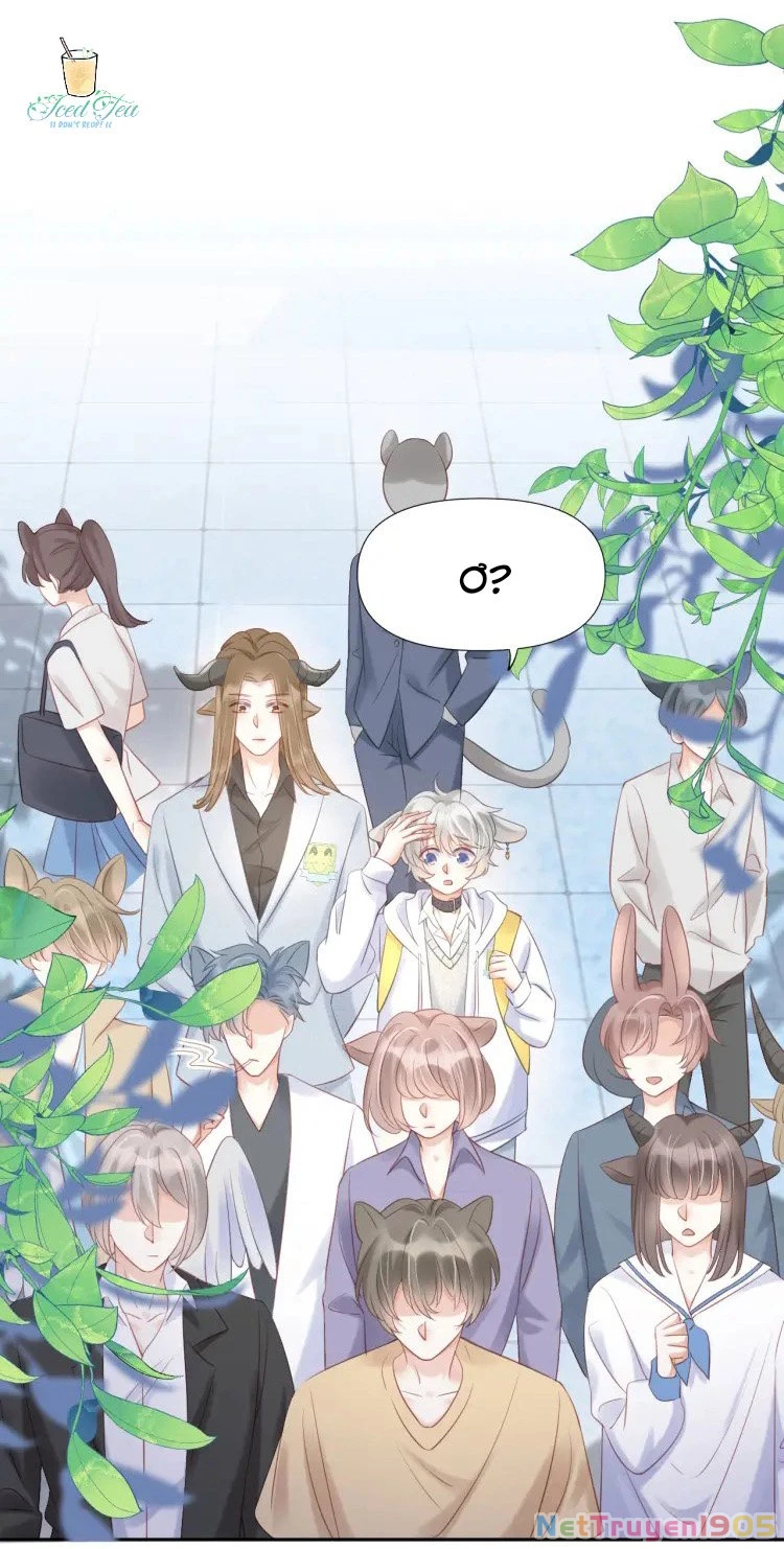 Một Ngụm Nuốt Trọn Thỏ Con Chapter 2 - 19