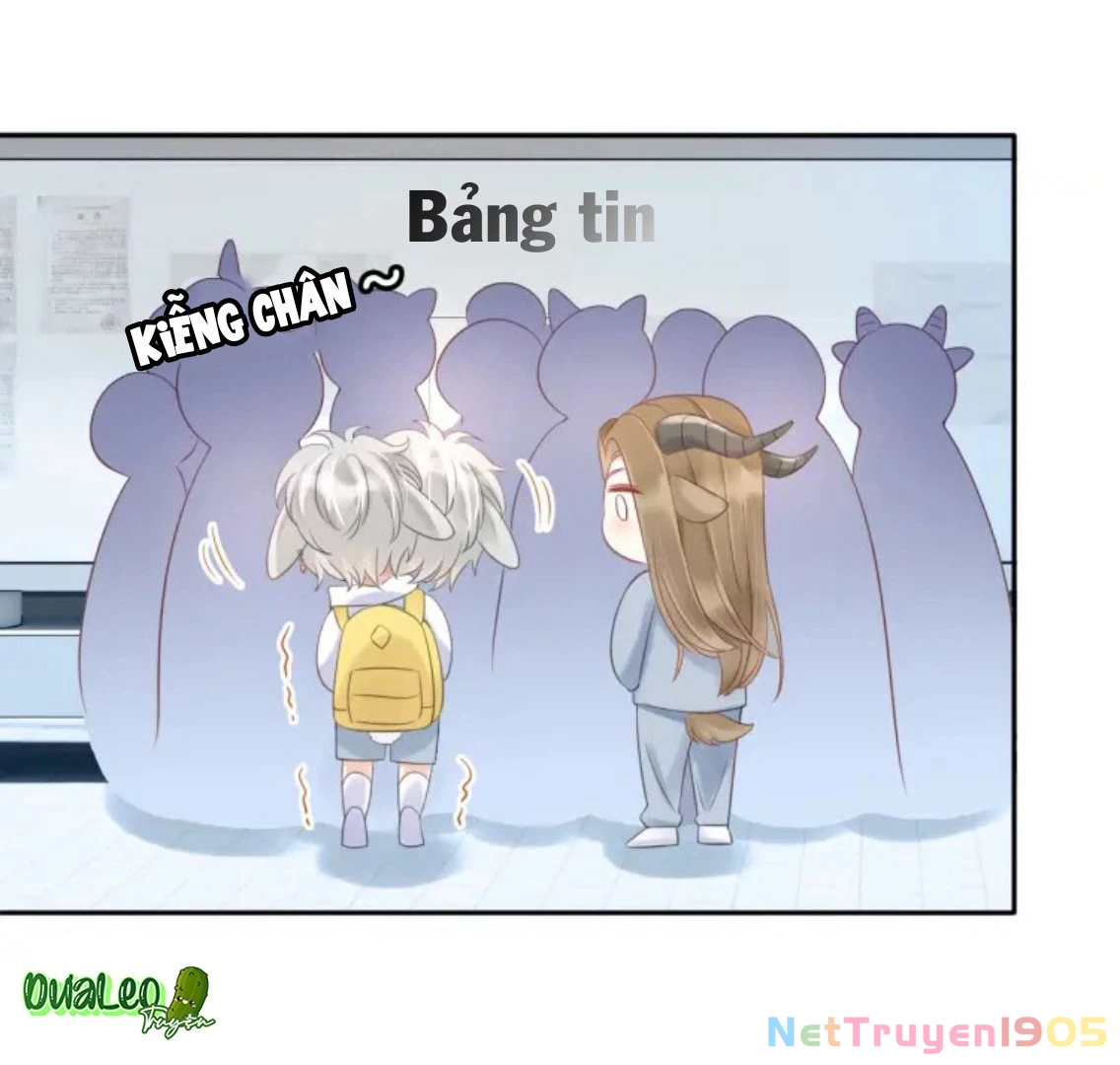 Một Ngụm Nuốt Trọn Thỏ Con Chapter 2 - 21