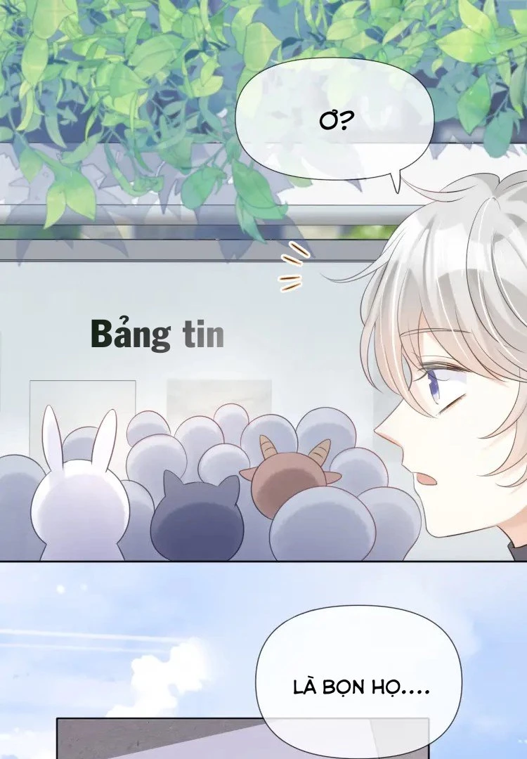 Một Ngụm Nuốt Trọn Thỏ Con Chapter 2 - 24