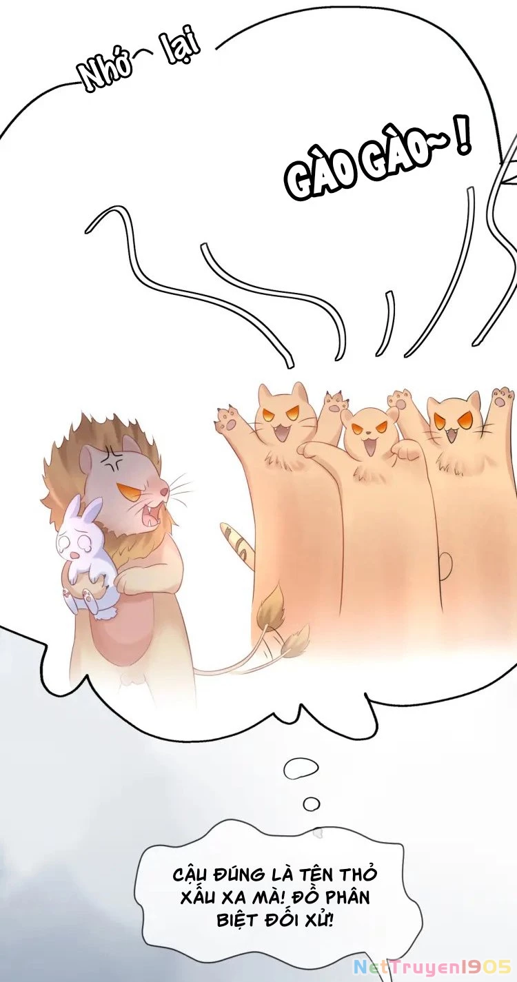 Một Ngụm Nuốt Trọn Thỏ Con Chapter 2 - 28