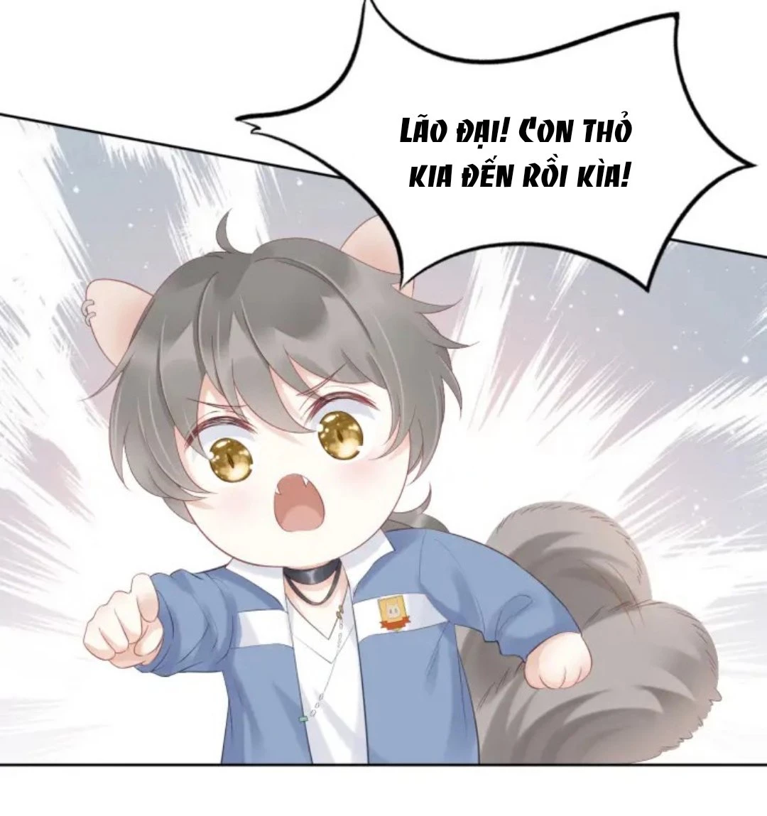 Một Ngụm Nuốt Trọn Thỏ Con Chapter 2 - 48