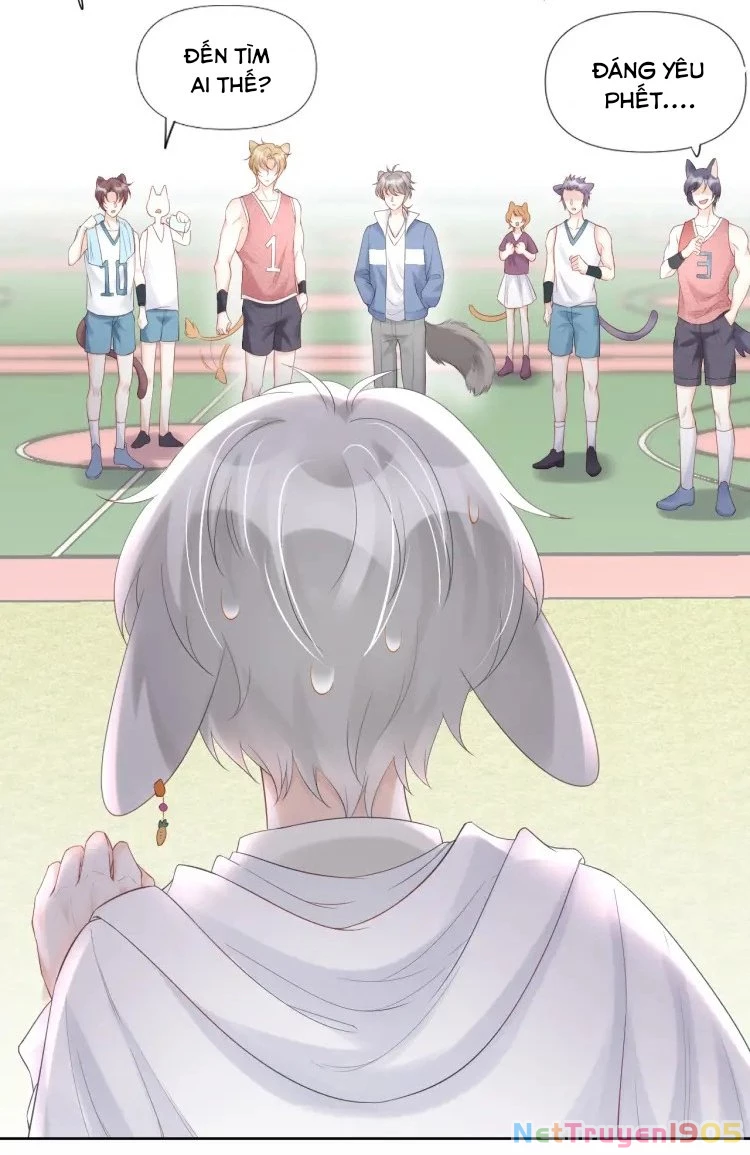 Một Ngụm Nuốt Trọn Thỏ Con Chapter 2 - 53