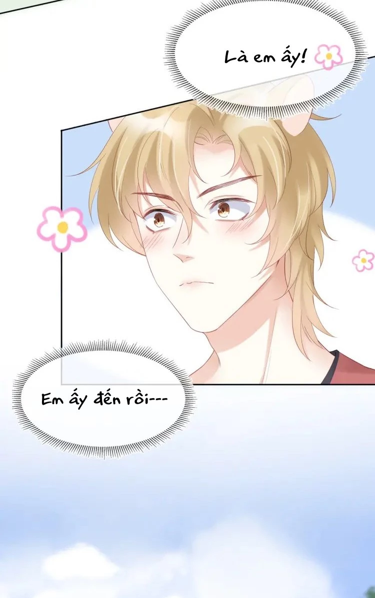 Một Ngụm Nuốt Trọn Thỏ Con Chapter 2 - 55