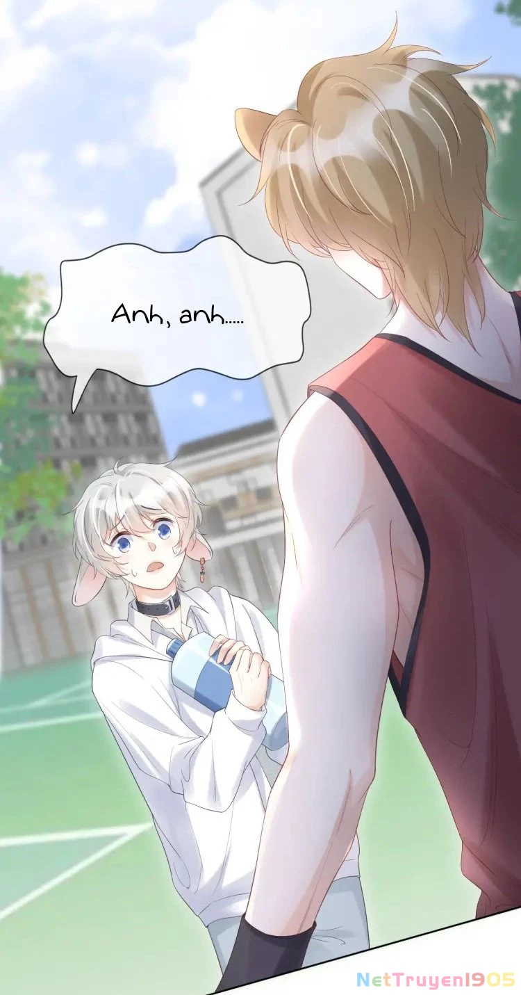 Một Ngụm Nuốt Trọn Thỏ Con Chapter 2 - 56