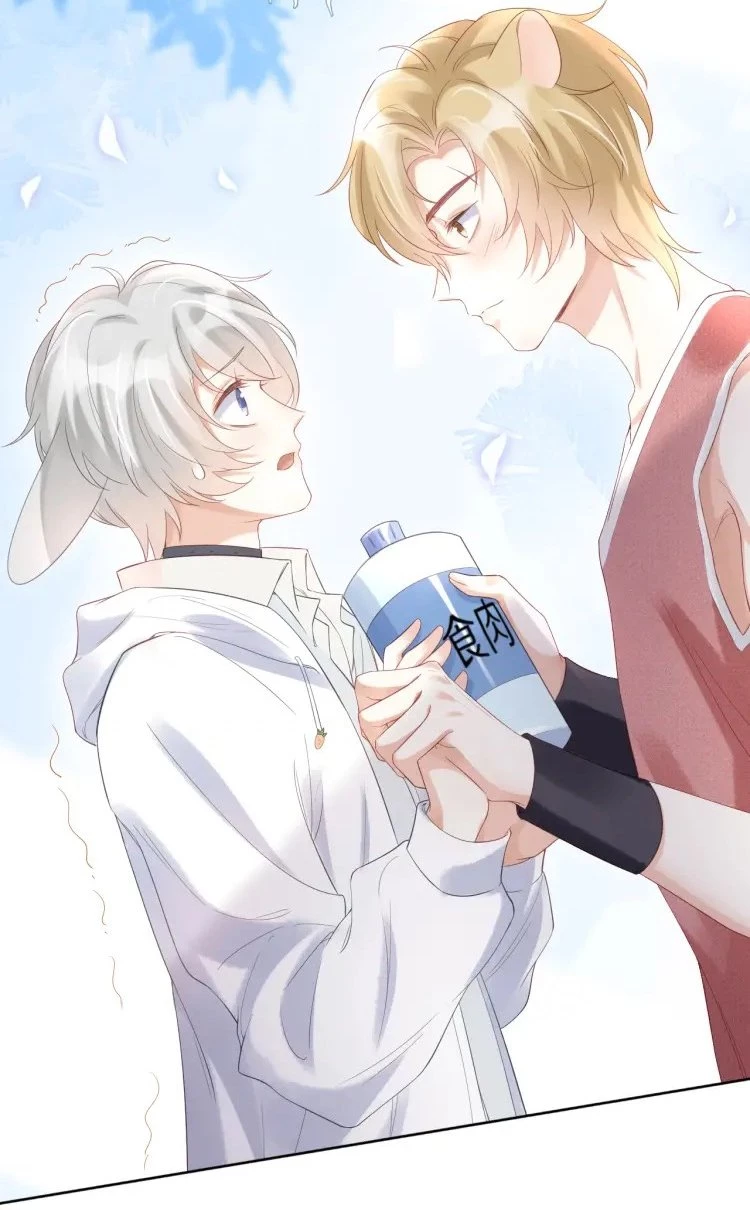 Một Ngụm Nuốt Trọn Thỏ Con Chapter 2 - 67