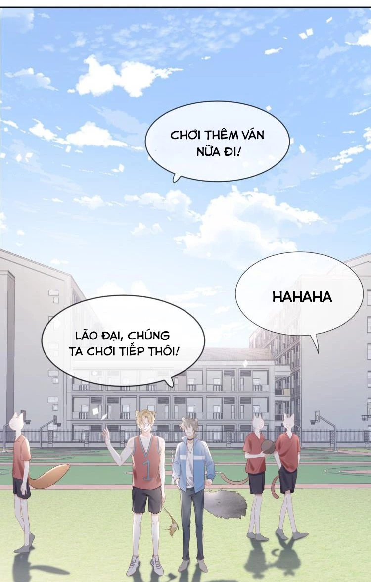 Một Ngụm Nuốt Trọn Thỏ Con Chapter 3 - 2