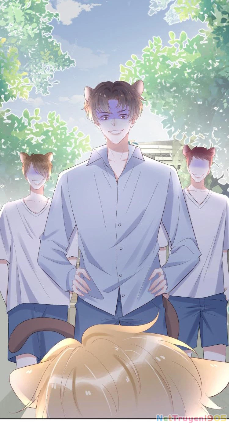 Một Ngụm Nuốt Trọn Thỏ Con Chapter 3 - 7