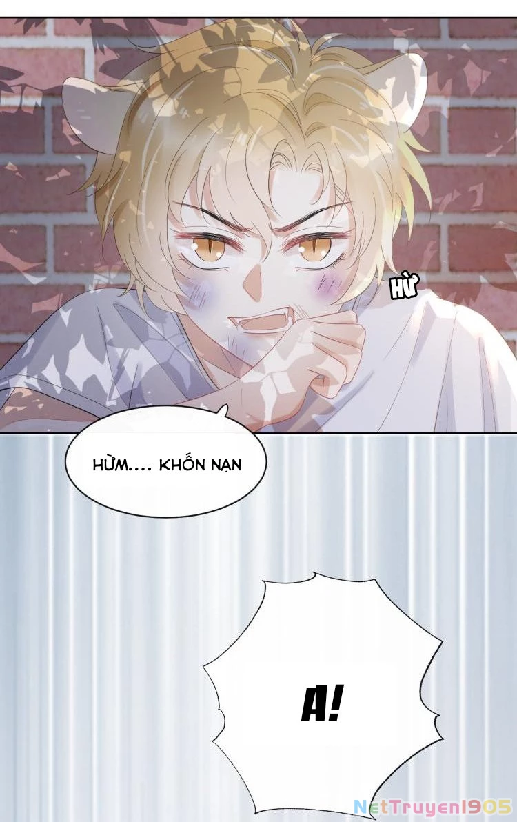 Một Ngụm Nuốt Trọn Thỏ Con Chapter 3 - 9