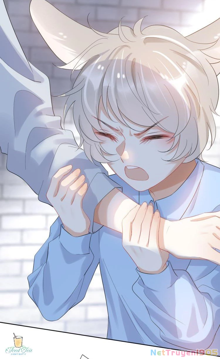 Một Ngụm Nuốt Trọn Thỏ Con Chapter 3 - 20