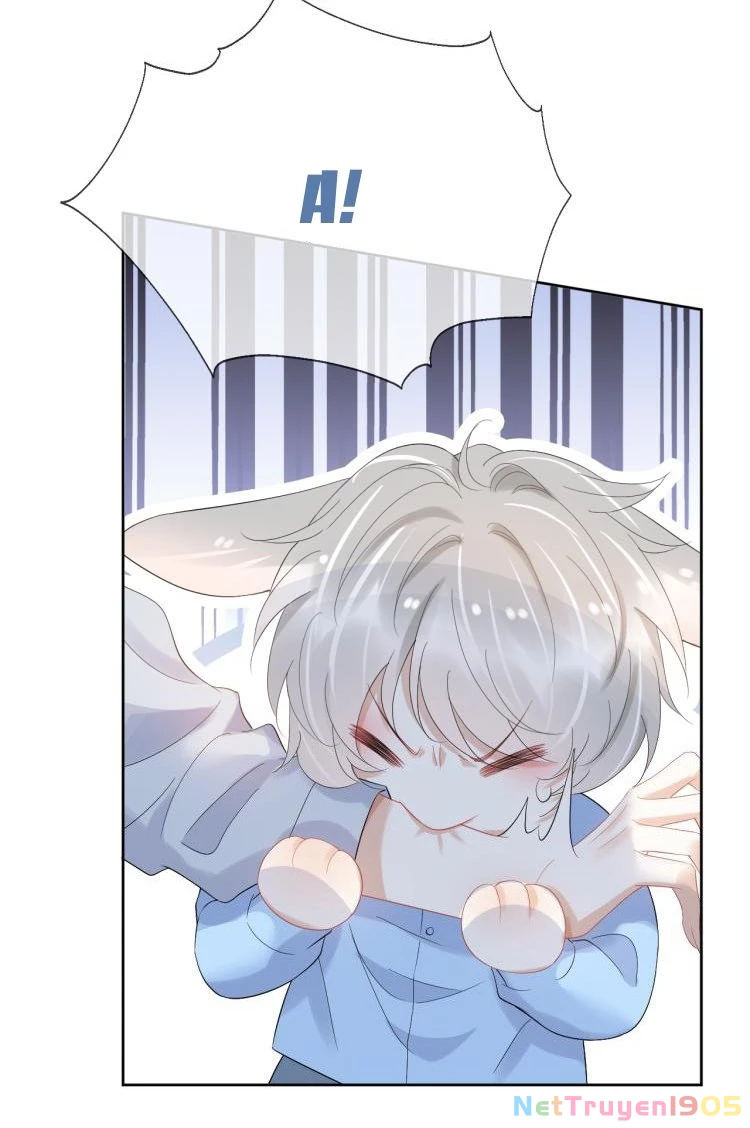 Một Ngụm Nuốt Trọn Thỏ Con Chapter 3 - 21