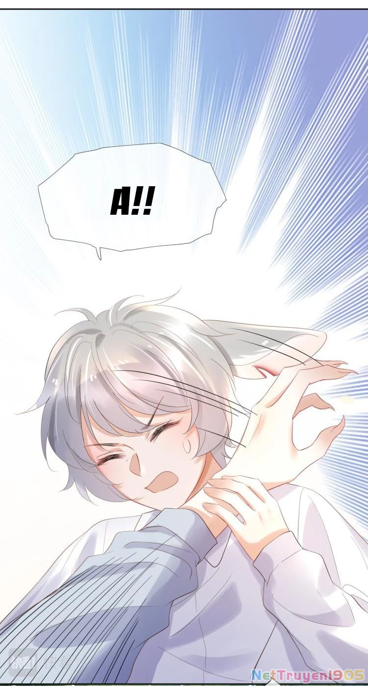 Một Ngụm Nuốt Trọn Thỏ Con Chapter 3 - 22