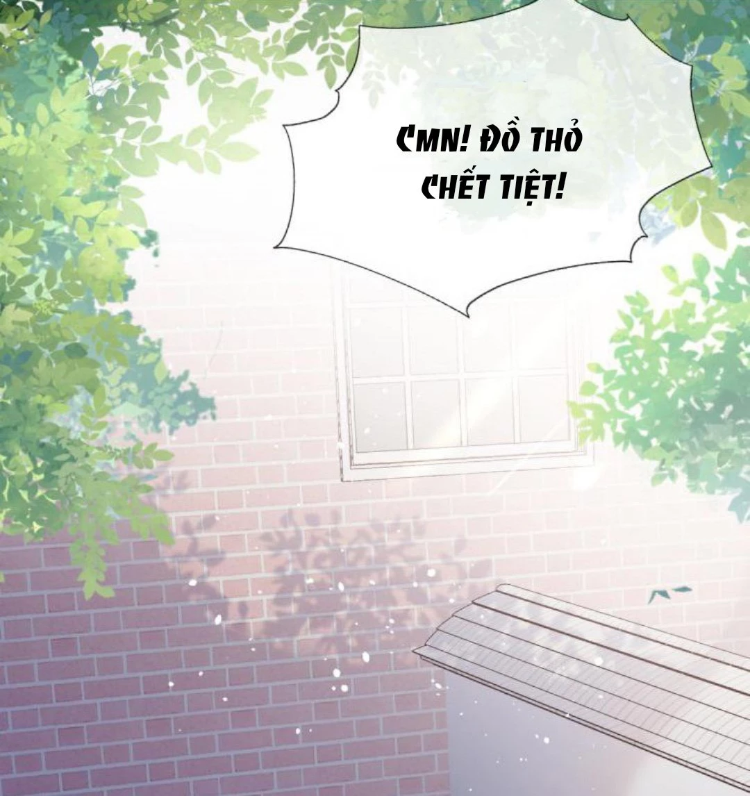 Một Ngụm Nuốt Trọn Thỏ Con Chapter 3 - 23