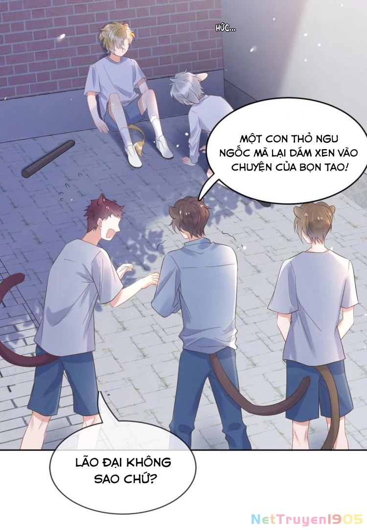 Một Ngụm Nuốt Trọn Thỏ Con Chapter 3 - 24