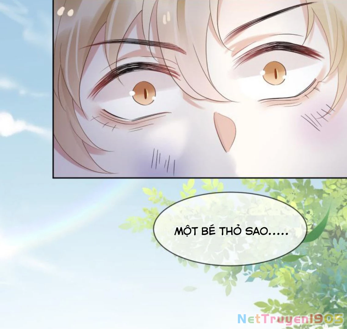 Một Ngụm Nuốt Trọn Thỏ Con Chapter 3 - 26