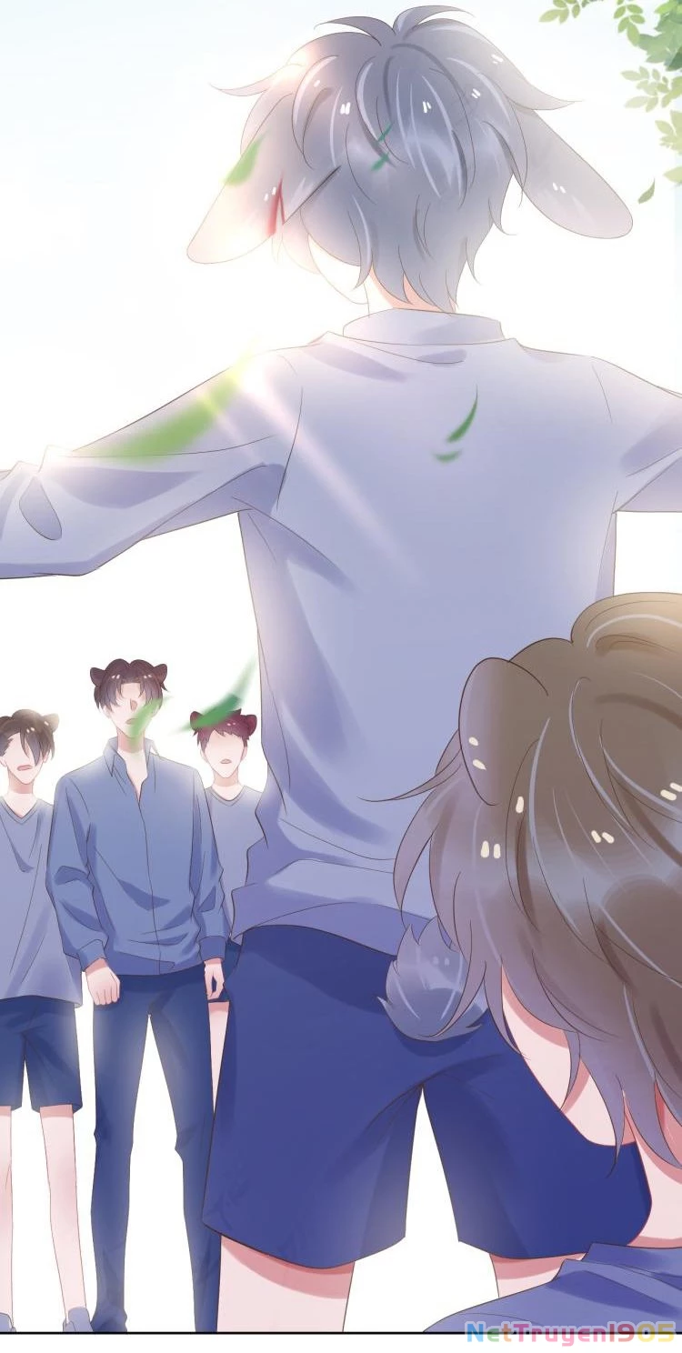 Một Ngụm Nuốt Trọn Thỏ Con Chapter 3 - 27