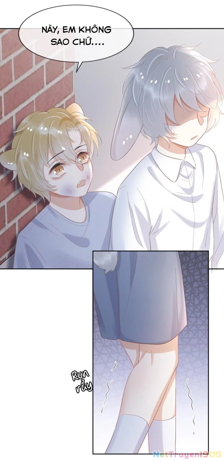 Một Ngụm Nuốt Trọn Thỏ Con Chapter 3 - 34