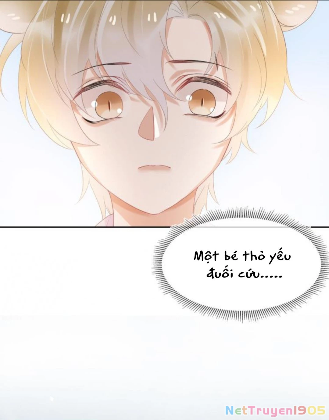 Một Ngụm Nuốt Trọn Thỏ Con Chapter 3 - 50