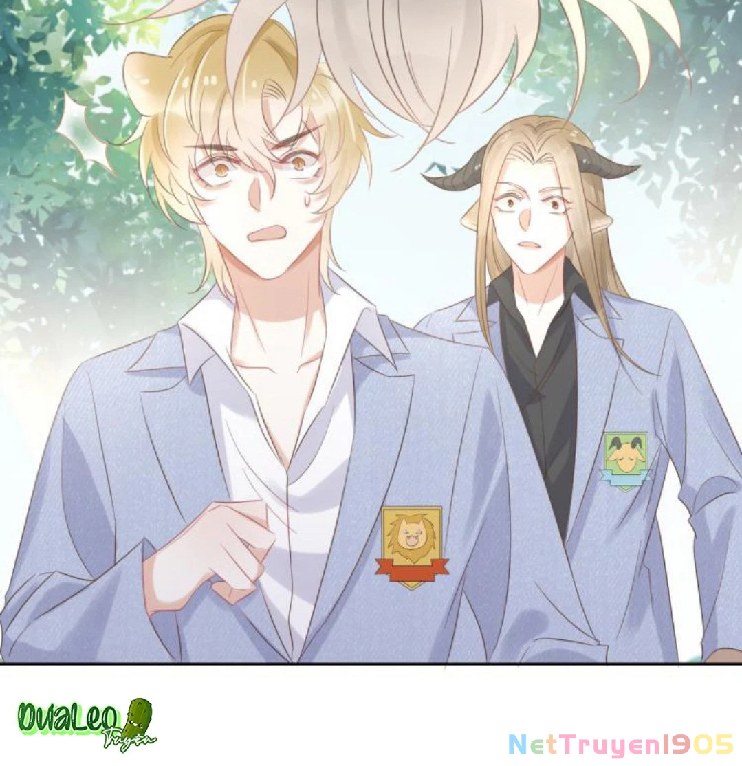 Một Ngụm Nuốt Trọn Thỏ Con Chapter 3 - 67