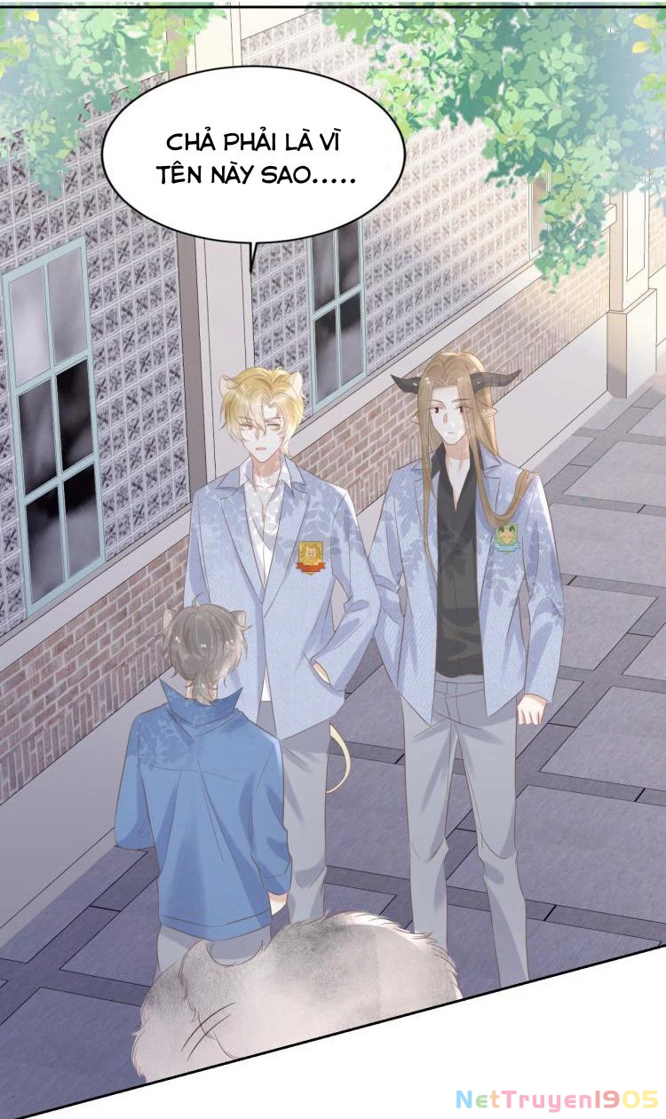 Một Ngụm Nuốt Trọn Thỏ Con Chapter 3 - 70