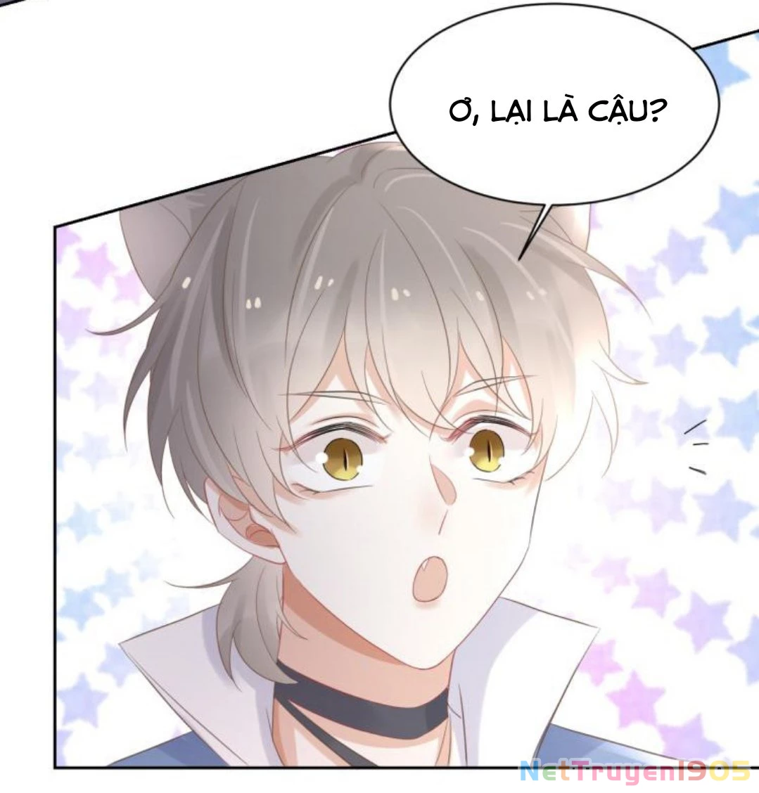 Một Ngụm Nuốt Trọn Thỏ Con Chapter 3 - 71