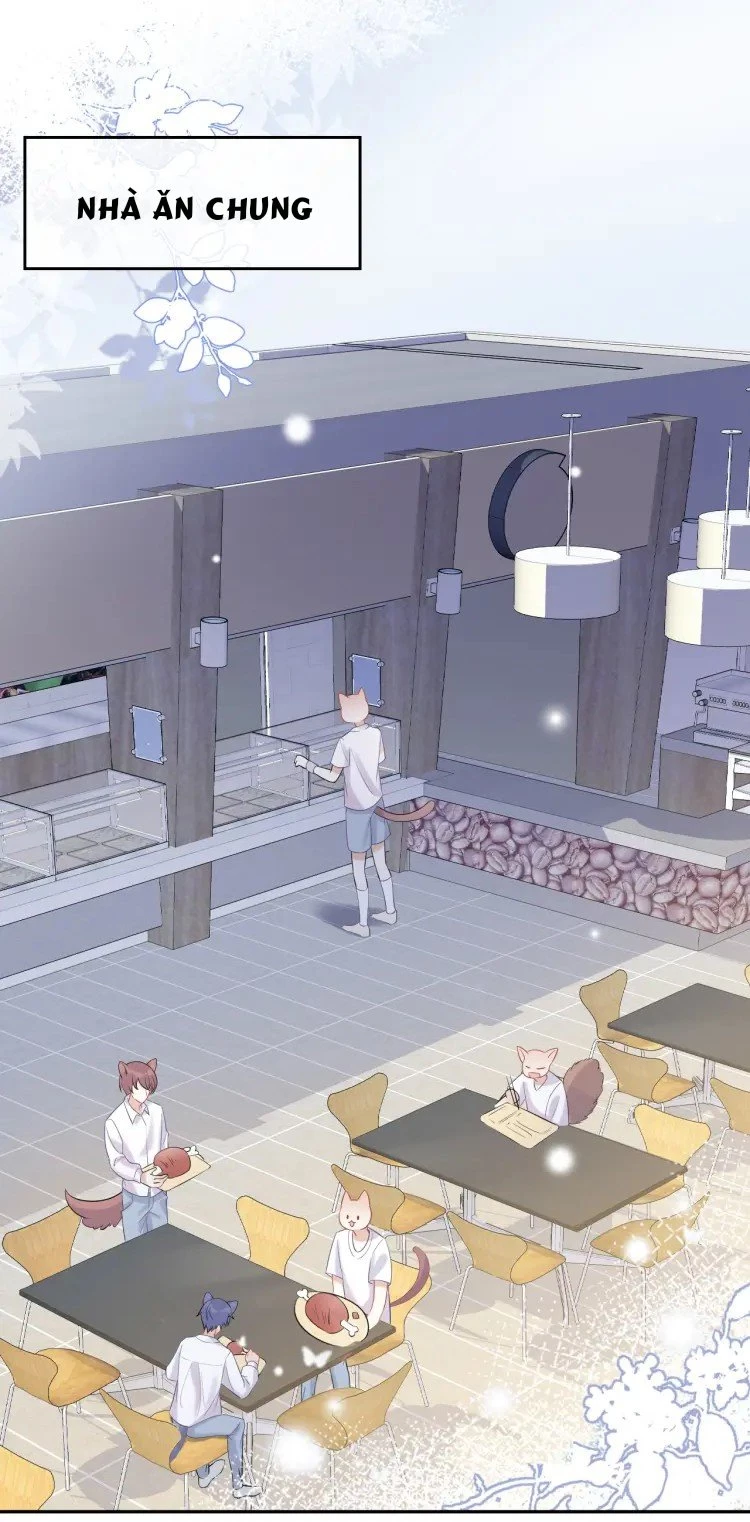 Một Ngụm Nuốt Trọn Thỏ Con Chapter 4 - 2