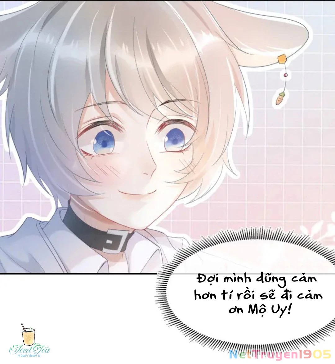 Một Ngụm Nuốt Trọn Thỏ Con Chapter 4 - 6