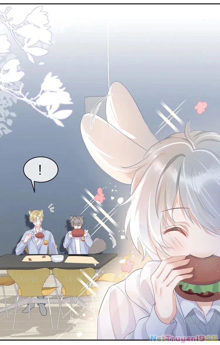 Một Ngụm Nuốt Trọn Thỏ Con Chapter 4 - 7