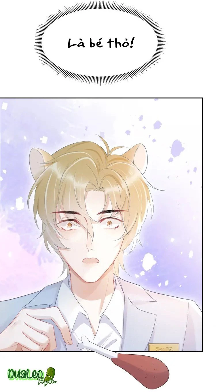 Một Ngụm Nuốt Trọn Thỏ Con Chapter 4 - 8