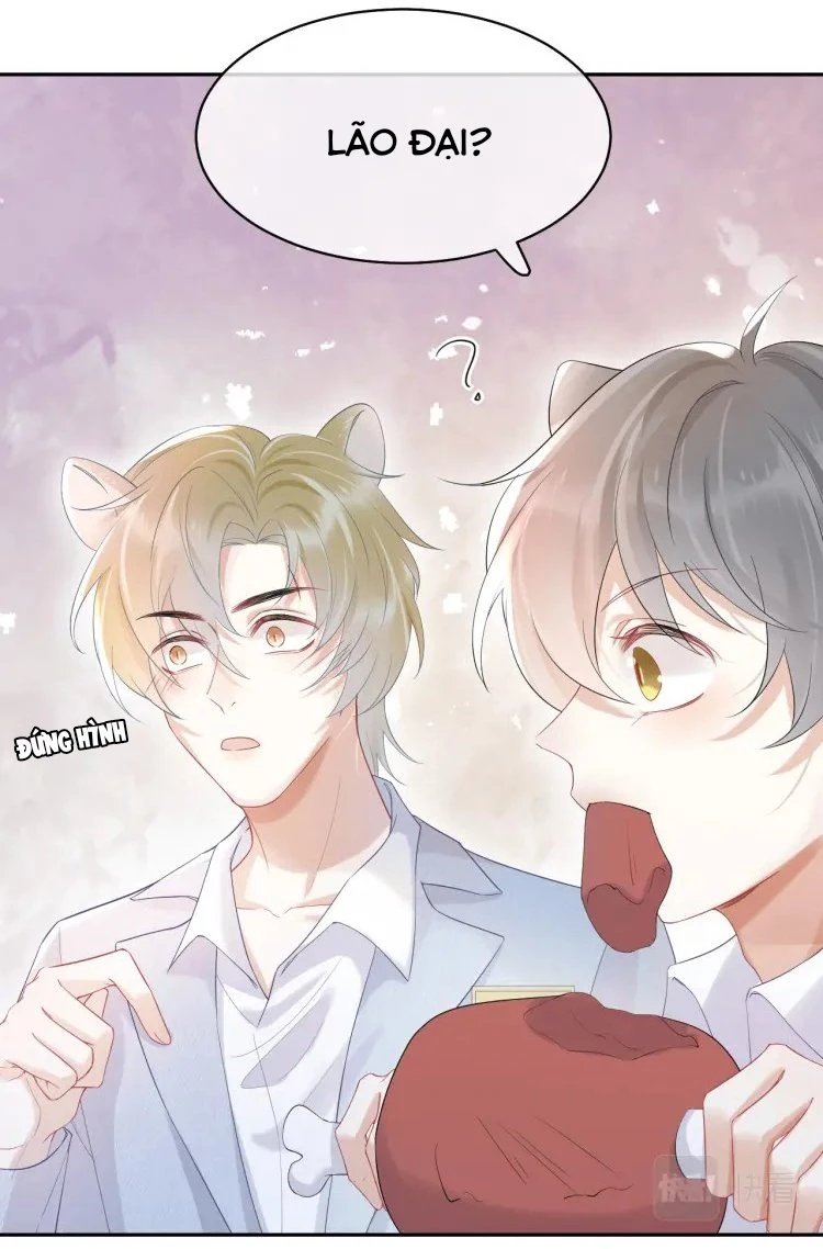 Một Ngụm Nuốt Trọn Thỏ Con Chapter 4 - 9