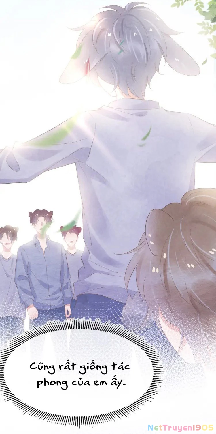 Một Ngụm Nuốt Trọn Thỏ Con Chapter 4 - 13