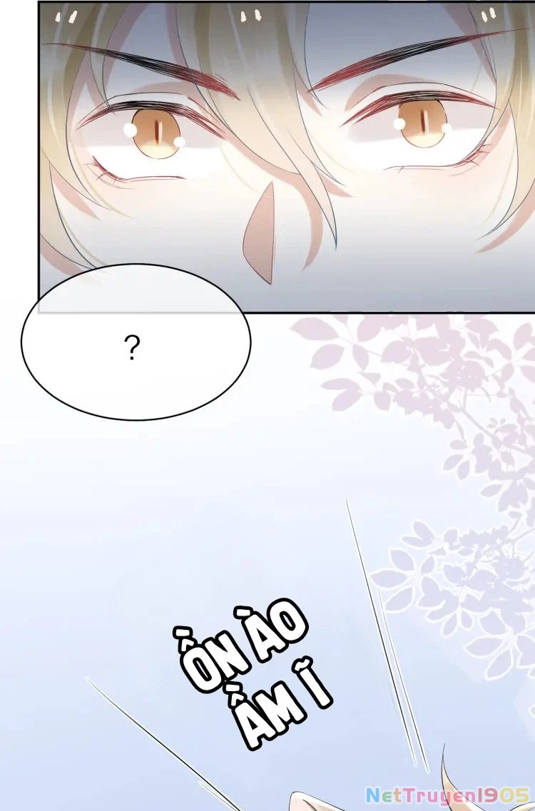 Một Ngụm Nuốt Trọn Thỏ Con Chapter 4 - 15