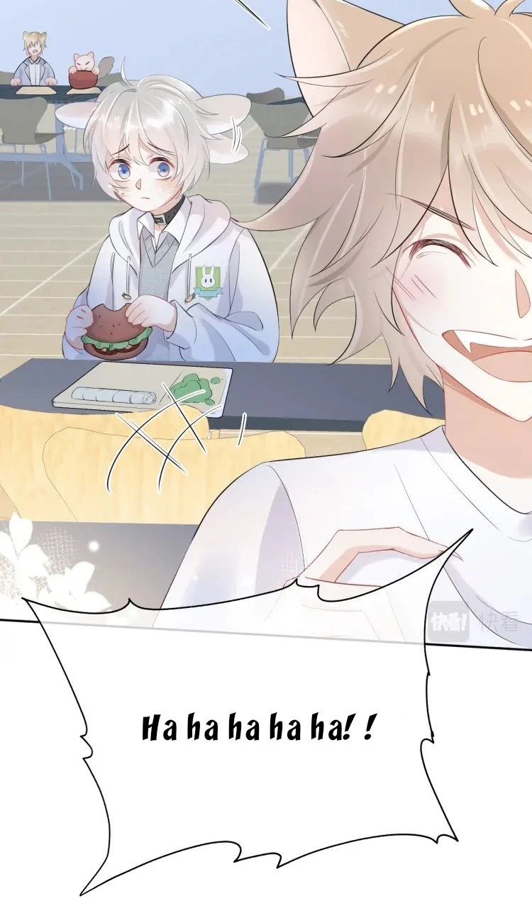 Một Ngụm Nuốt Trọn Thỏ Con Chapter 4 - 16