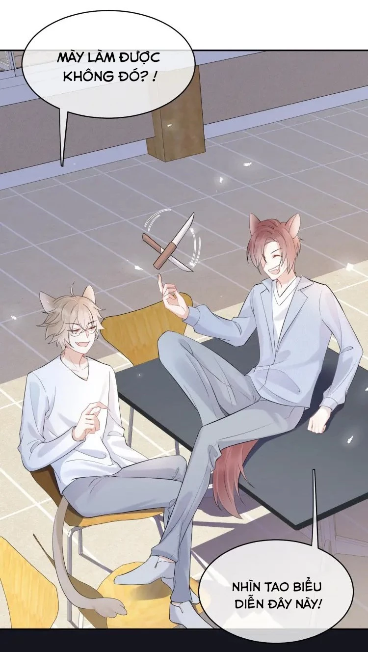 Một Ngụm Nuốt Trọn Thỏ Con Chapter 4 - 17