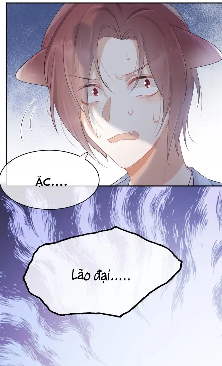 Một Ngụm Nuốt Trọn Thỏ Con Chapter 4 - 26