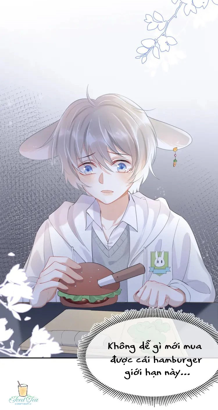 Một Ngụm Nuốt Trọn Thỏ Con Chapter 4 - 31